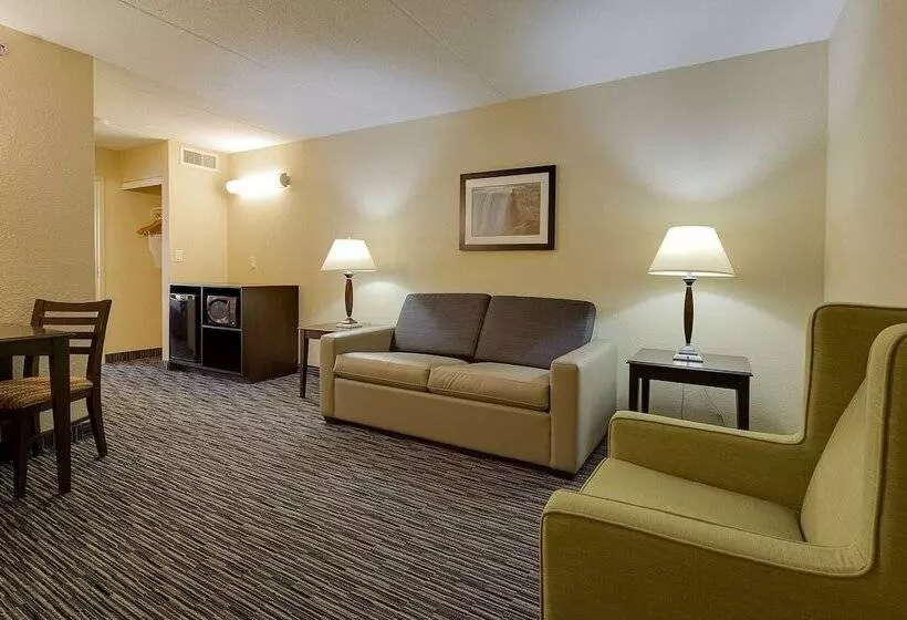 Fotos del hotel Country Inn & Suites By Radisson, Niagara Falls, On:  25