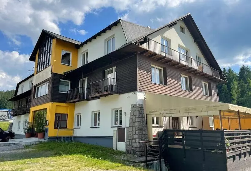 Fotos del hotel Harrachov Inn:  12