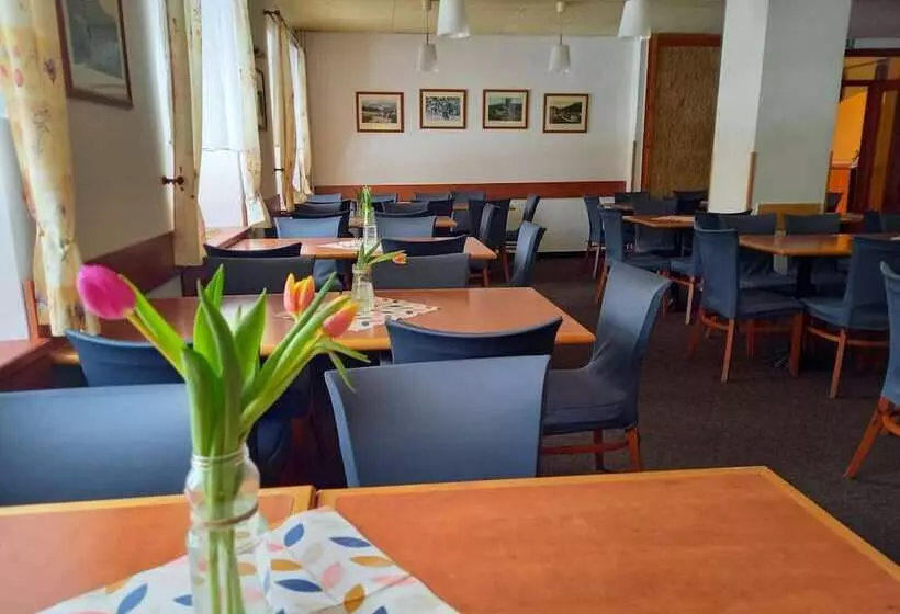 Fotos del hotel Harrachov Inn:  10