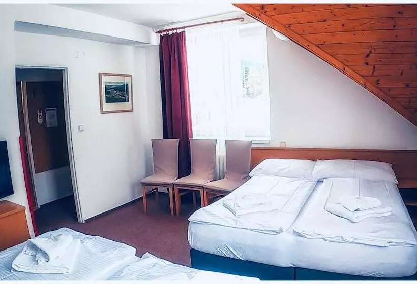 Fotos del hotel Harrachov Inn:  9