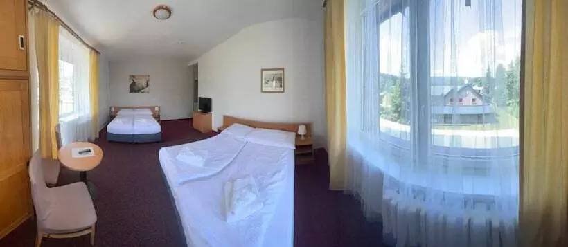 Fotos del hotel Harrachov Inn:  16