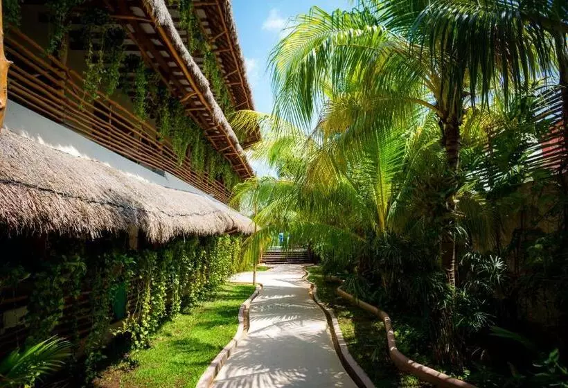 Fotos del hotel Tropical Suites By Mij:  8