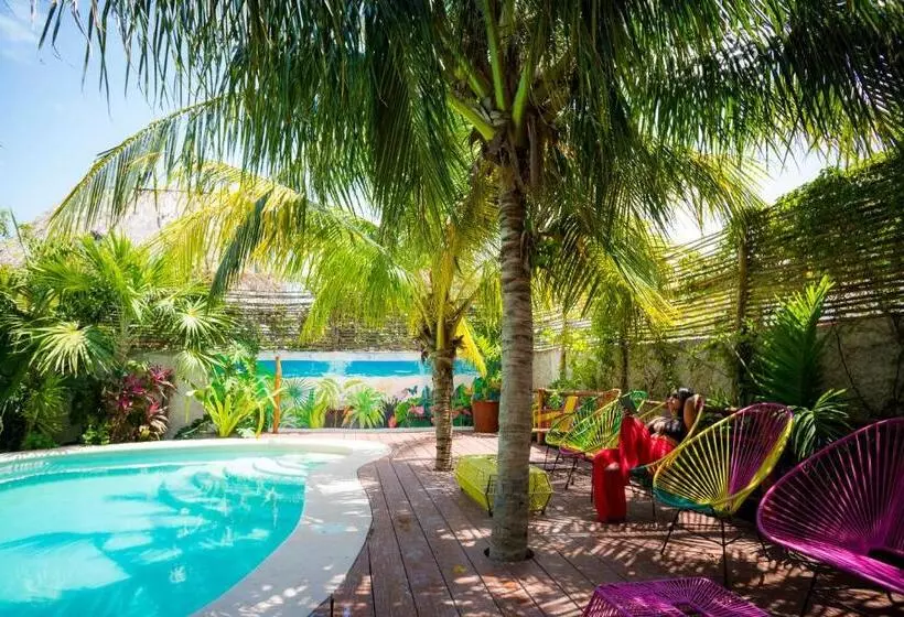 Fotos del hotel Tropical Suites By Mij:  1