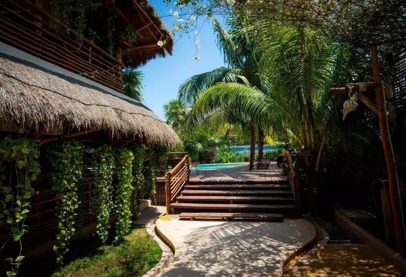 Fotos del hotel Tropical Suites By Mij:  6