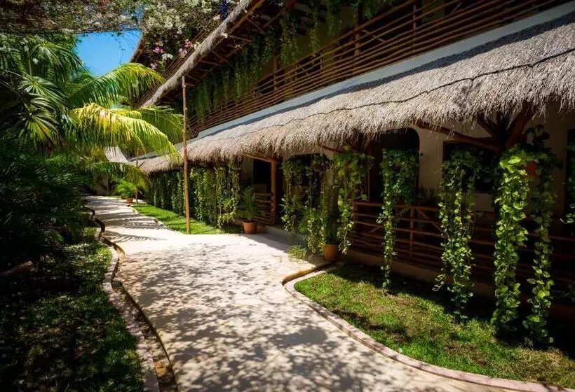 Fotos del hotel Tropical Suites By Mij:  5