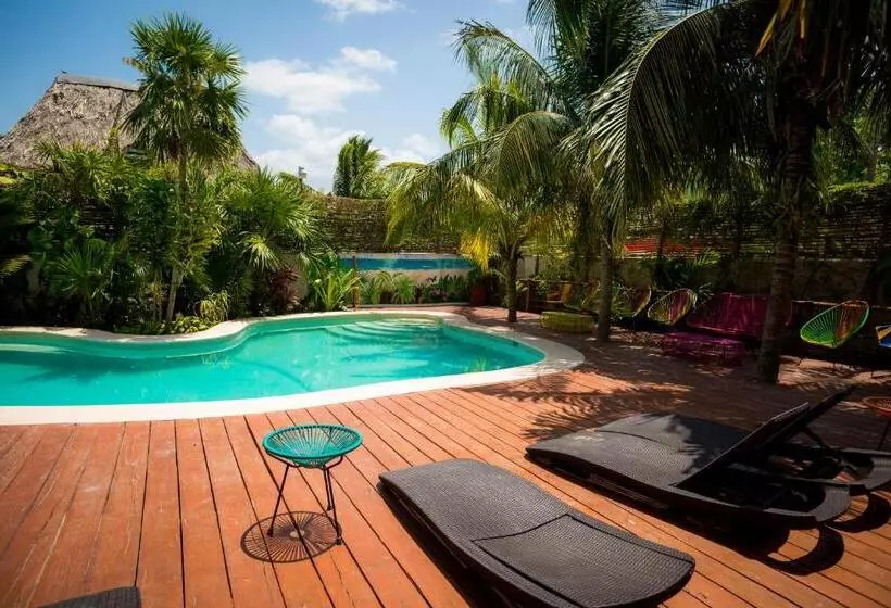 Fotos del hotel Tropical Suites By Mij:  3