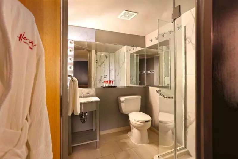 Fotos del hotel Henri:  6