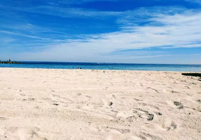 Fotos del hotel Beach Haus Bal Harbour:  18