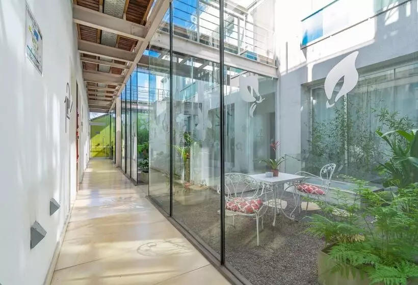 Fotos del hotel Vitrum:  19