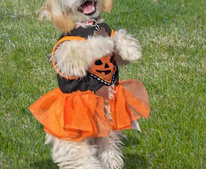 Fotos del hotel Hilton San Diego Bayfront:  19