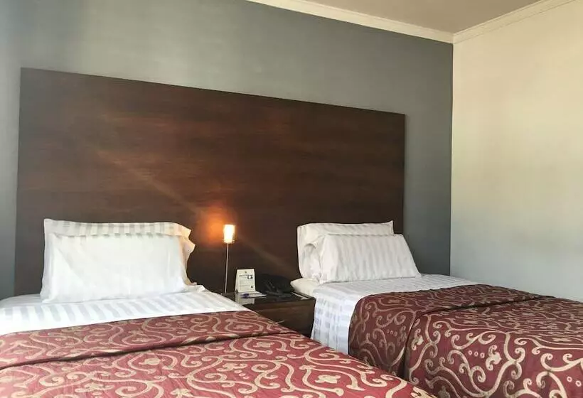 San Francisco De Asís