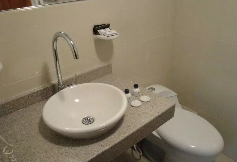 Fotos del hotel San Francisco De Asís:  7