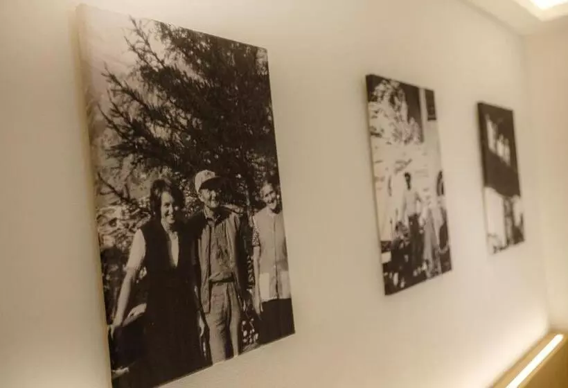 Fotos del hotel Bella Vista Zermatt:  4