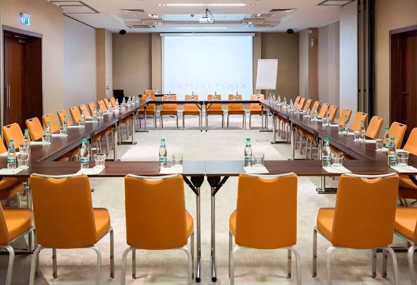 Fotos del hotel Capital Plaza:  8