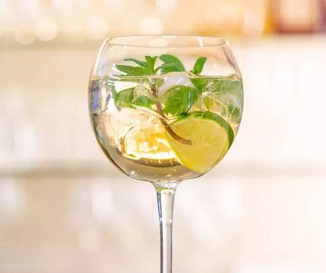 Fotos del hotel Capital Plaza:  9