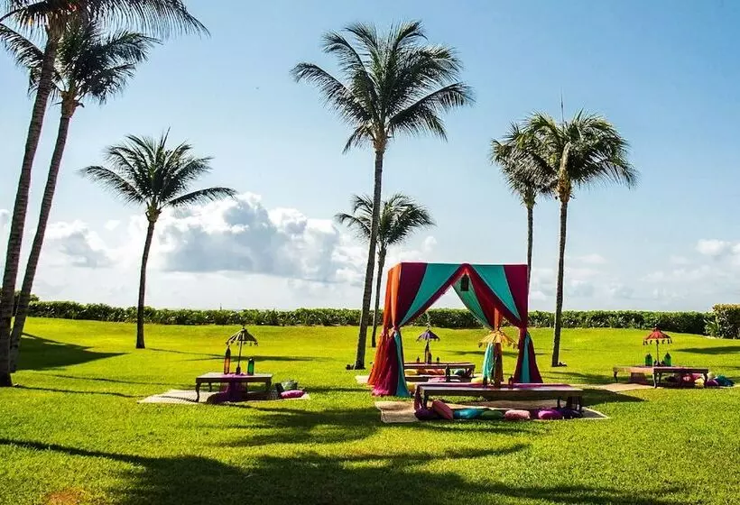 Fotos del hotel Dreams Jade Resort & Spa  All Inclusive:  14