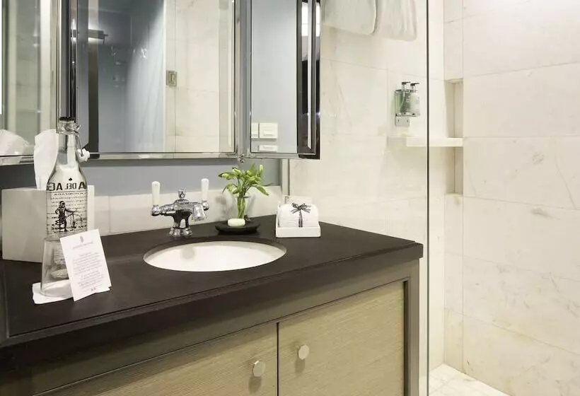 Fotos del hotel Hippodrome  Condesa:  8