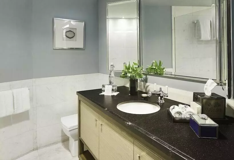 Fotos del hotel Hippodrome  Condesa:  4