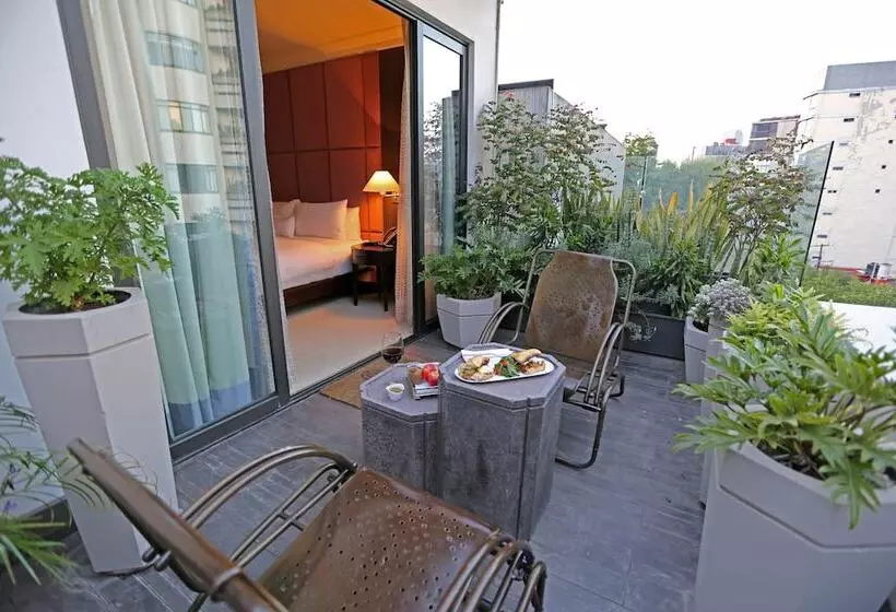 Fotos del hotel Hippodrome  Condesa:  3