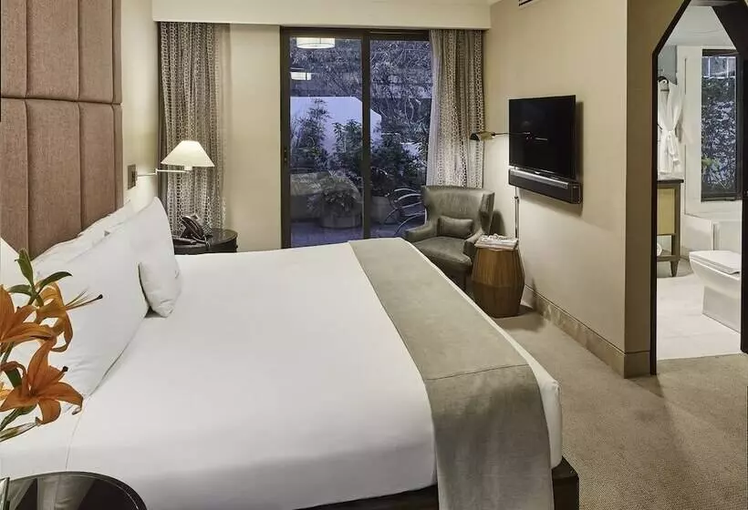 Fotos del hotel Hippodrome  Condesa:  18