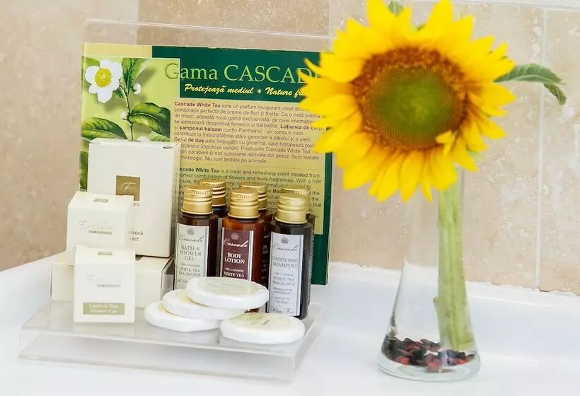 Fotos del hotel International Bucharest City Centre:  13