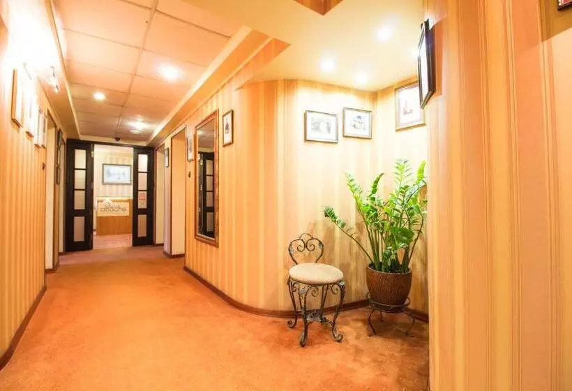 Fotos del hotel Attache:  4