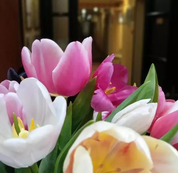 Fotos del hotel Attache:  21