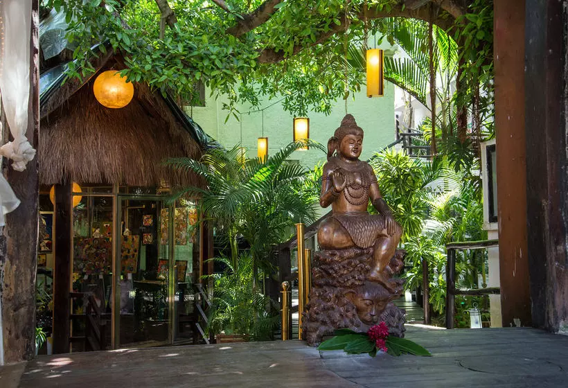 Fotos del hotel Blue Parrot Fifth Avenue:  16