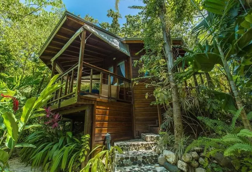 Fotos del hotel Geejam:  20