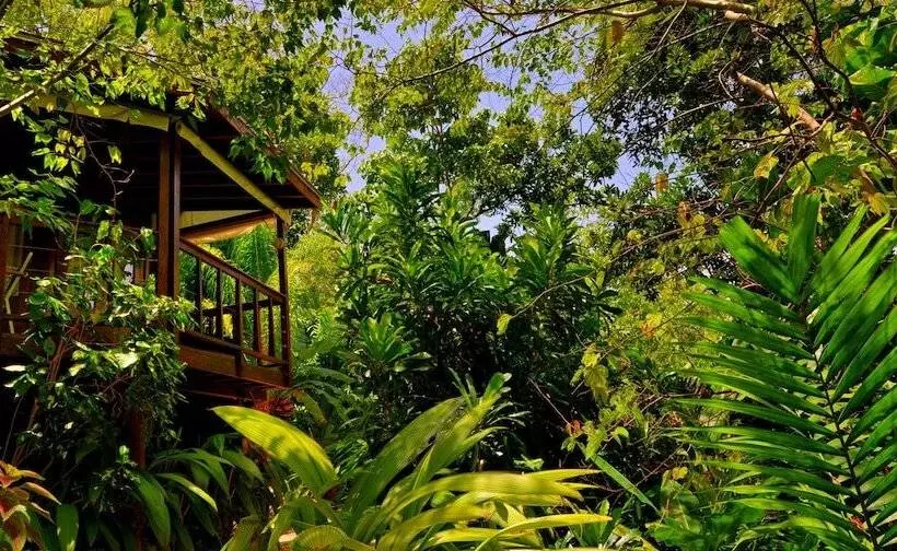 Fotos del hotel Geejam:  22