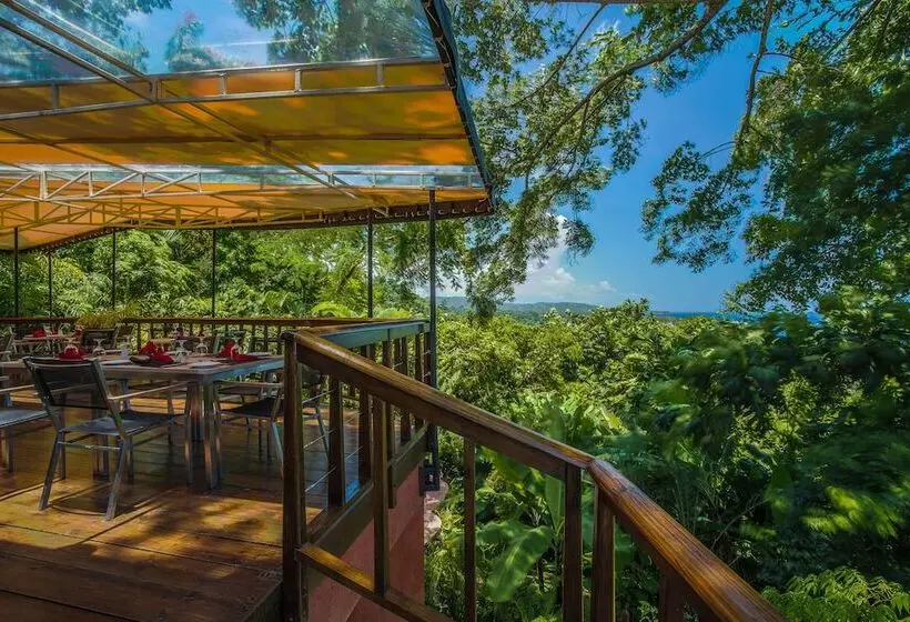 Fotos del hotel Geejam:  17