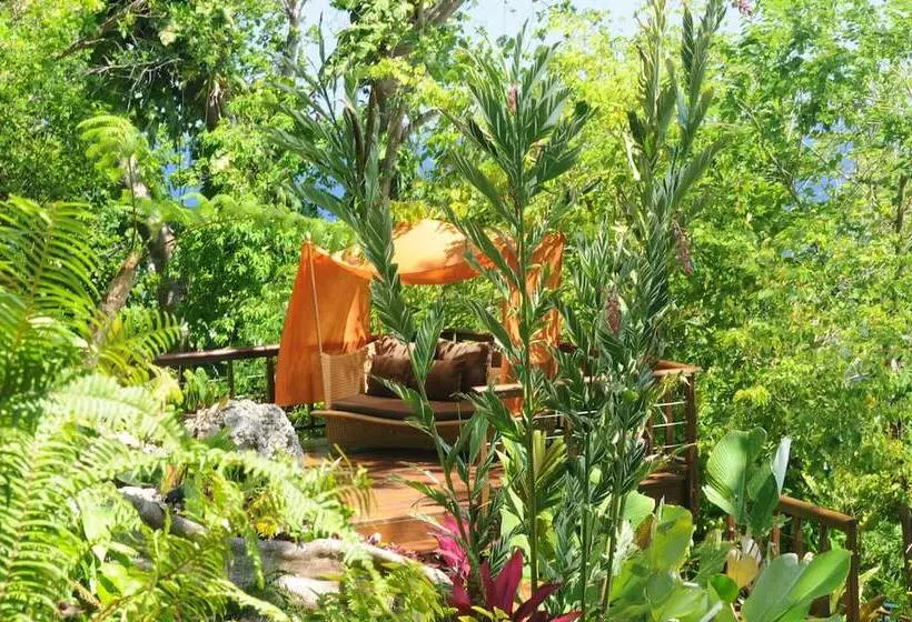 Fotos del hotel Geejam:  14