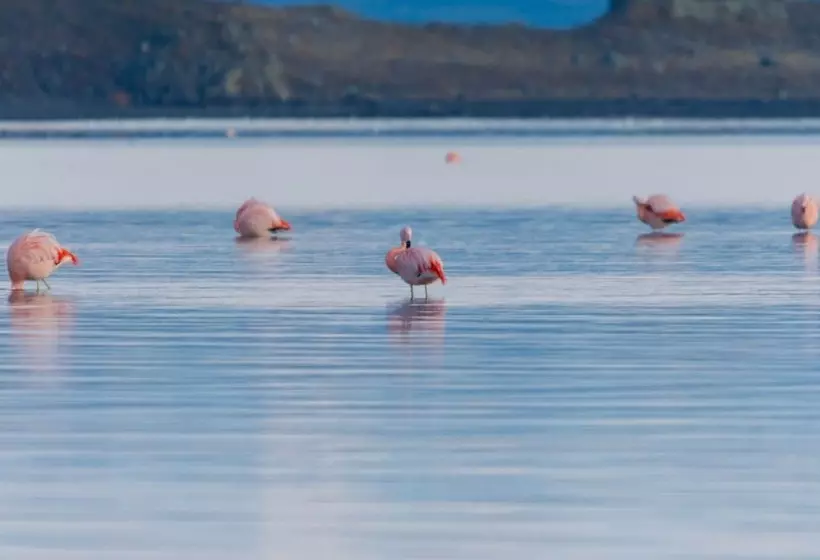 Fotos del hotel Las Dunas:  10