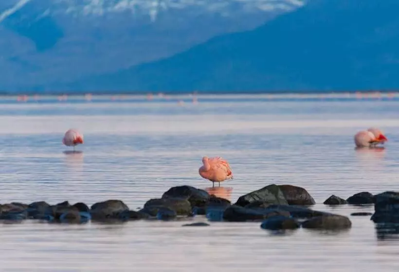 Fotos del hotel Las Dunas:  2