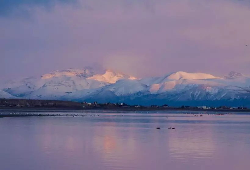 Fotos del hotel Las Dunas:  11