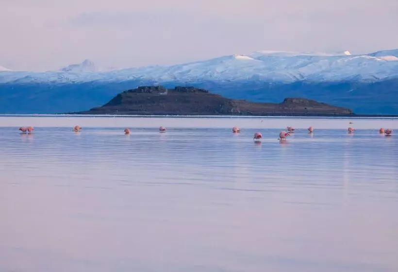 Fotos del hotel Las Dunas:  6