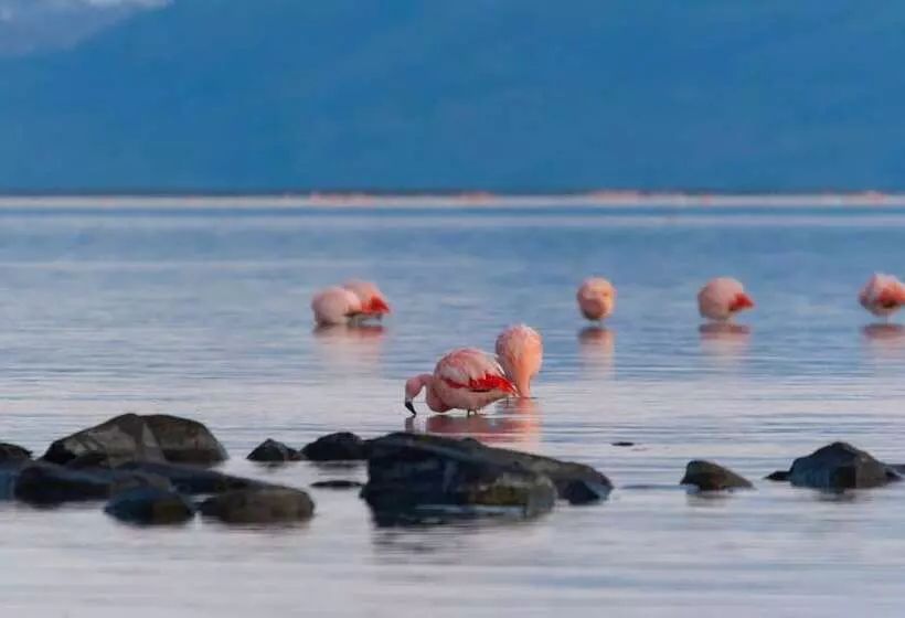 Fotos del hotel Las Dunas:  8