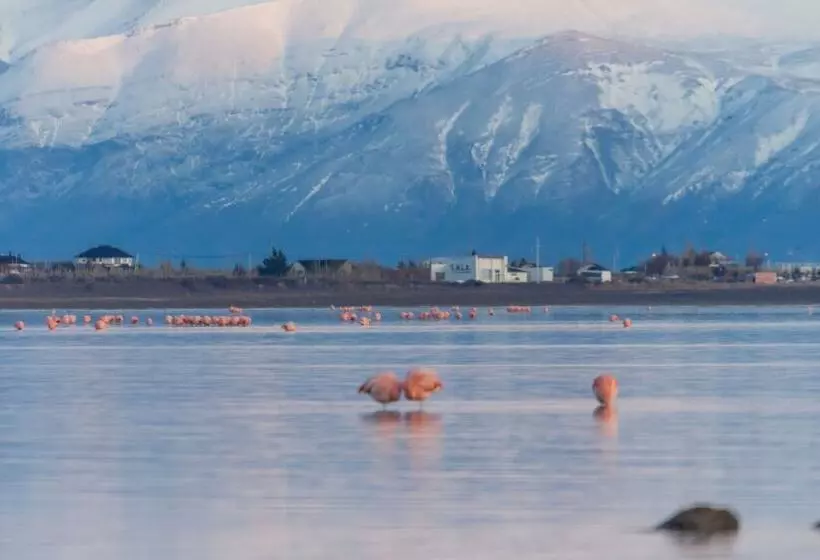 Fotos del hotel Las Dunas:  15