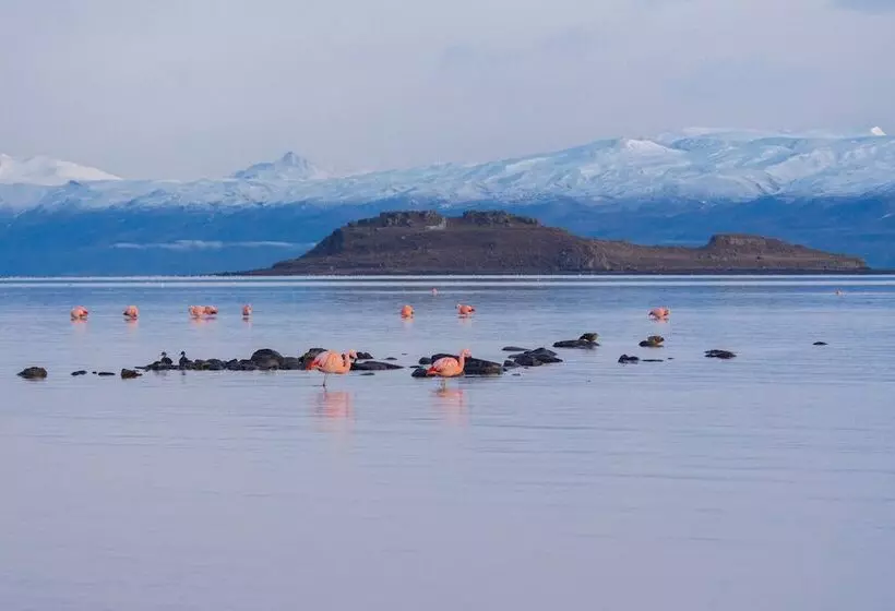 Fotos del hotel Las Dunas:  12