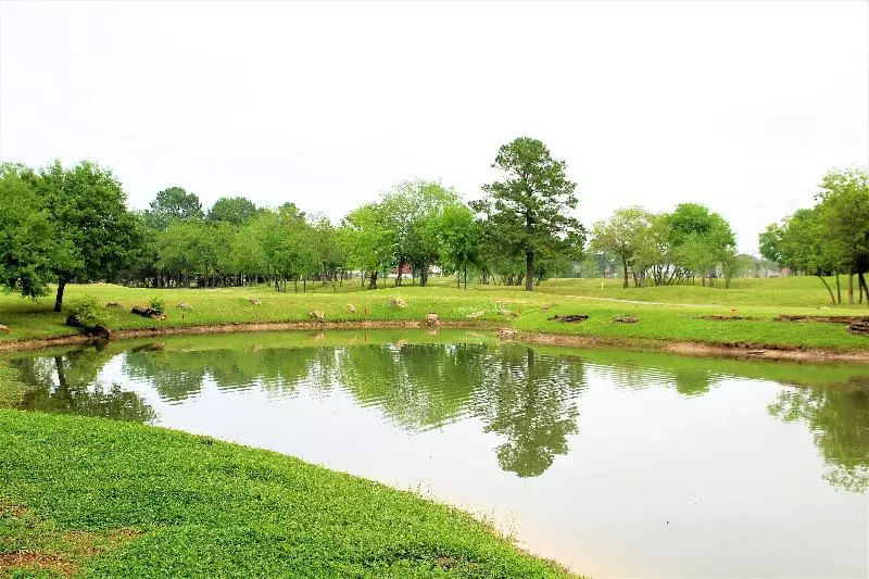 Fotos del hotel Staybridge Suites Houston - Willowbrook, An Ihg:  24