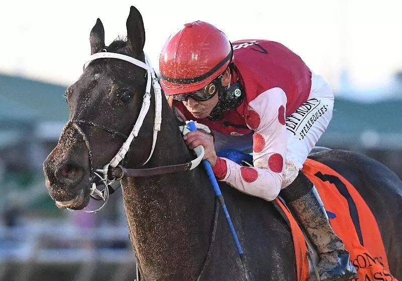 Fotos del hotel Staybridge Suites Houston - Willowbrook, An Ihg:  12