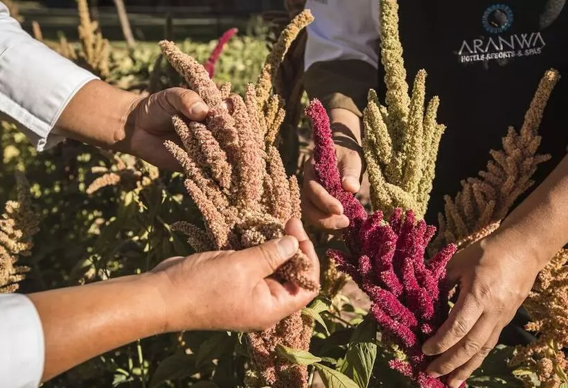Fotos del hotel Aranwa Sacred Valley Hotel & Wellness:  11