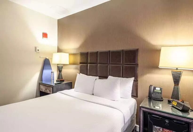 Fotos del hotel The Carvi Hotel New York, Ascend Hotel Collection:  5