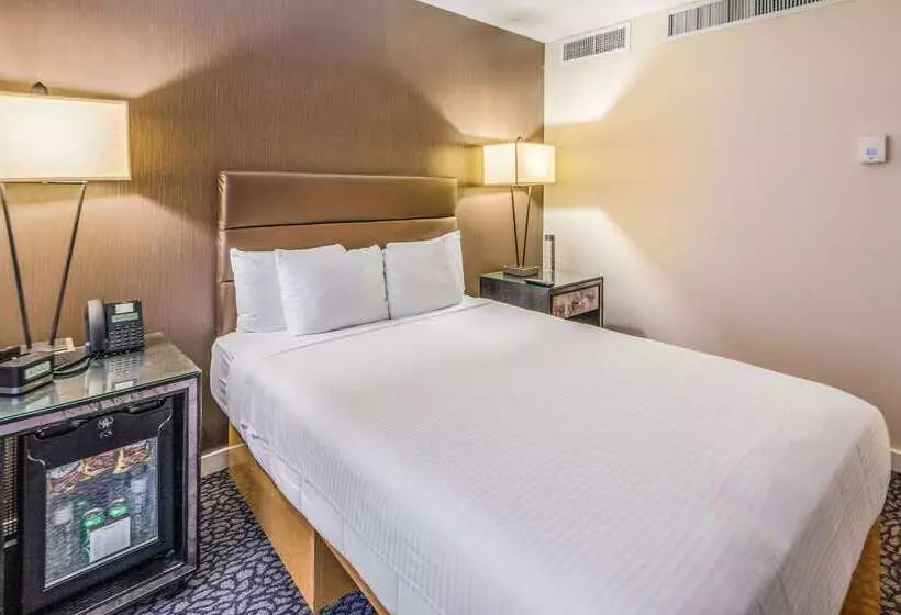 Fotos del hotel The Carvi Hotel New York, Ascend Hotel Collection:  14