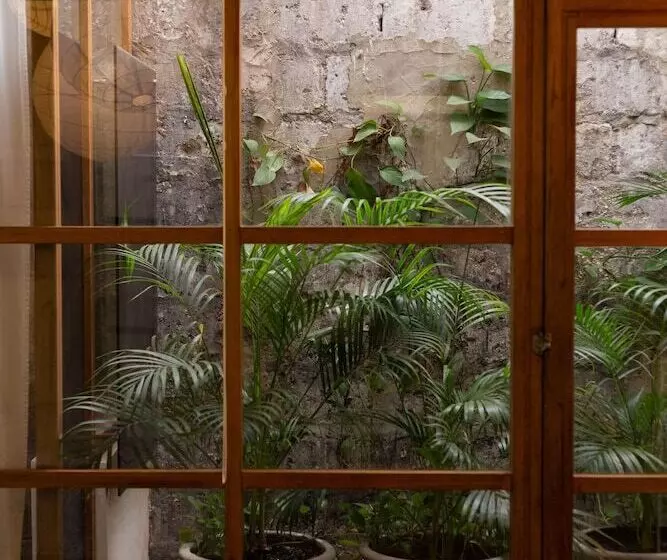 Fotos del hotel Casa Lola Deluxe Gallery:  4