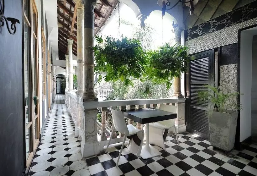 Fotos del hotel Casa Lola Deluxe Gallery:  10