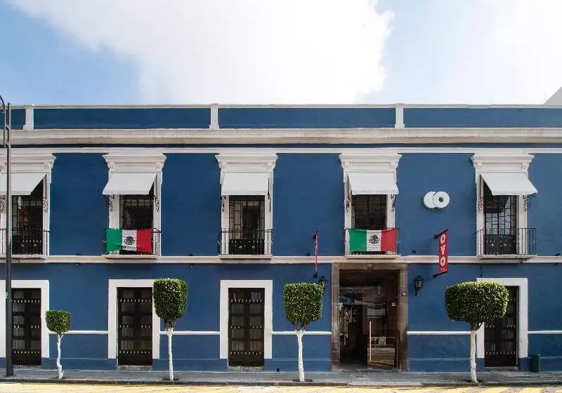 Fotos del hotel Capital O Del Paseo:  6