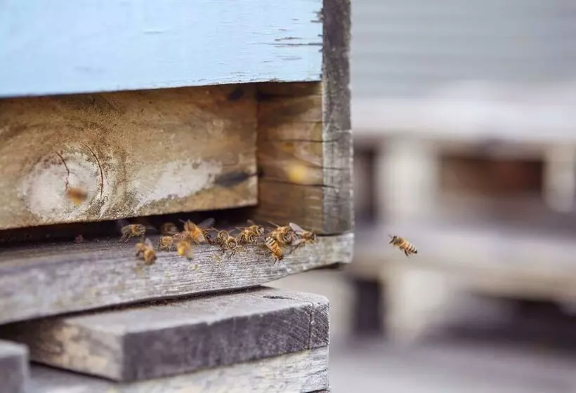 Fotos del hotel Scandic Berlin Potsdamer Platz:  8