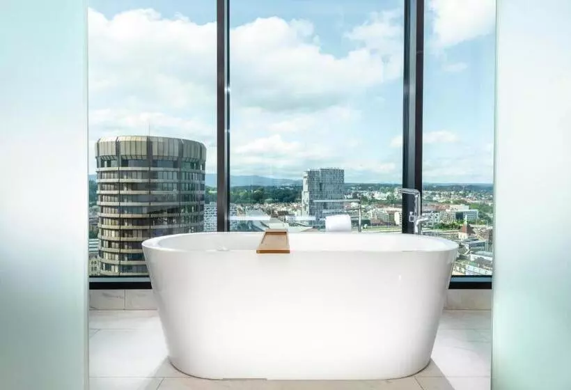 Fotos del hotel Mövenpick Hotel Basel:  10