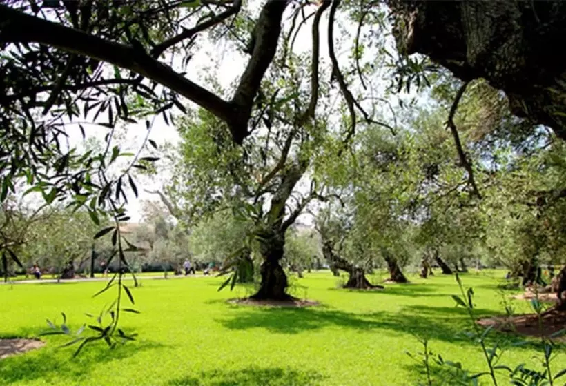 Fotos del hotel Manto Hotel Lima - Mgallery (ex. Foresta Lima San Isidro):  6